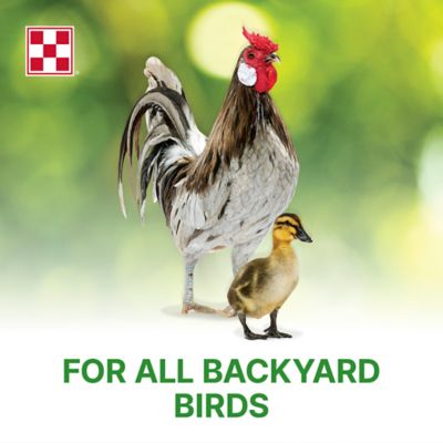 Image showing  Flock Raiser Crumbles Poultry Feed