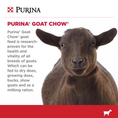 Image showing  Goat Chow Feed