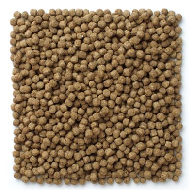 Image showing  Koi Pond Nuggets Fish Feed, 20 lb. Bag
