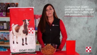 Image showing  Goat Block, 33.3 lb. Block