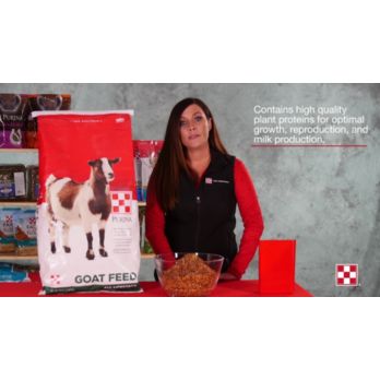 Purina Mills Goat Block - 33.3 lb