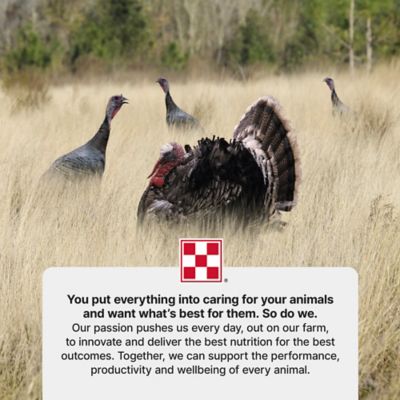 Image showing  Flight Conditioner Crumbles Game Bird Feed, 50 lb. Bag