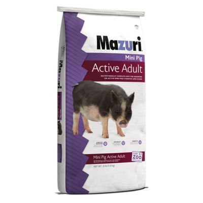 Mazuri Mini Pig Active Adult, 25 lb 