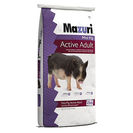 Mazuri Active Adult Mini Pig Feed, 25 lb. Bag