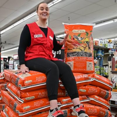 Image showing  Small Bird Food, 25 lb. Bag