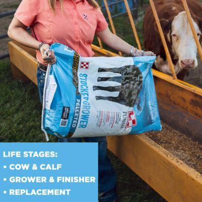 Image showing  Stocker Grower Pelleted Cattle Feed, 50 lb. Bag