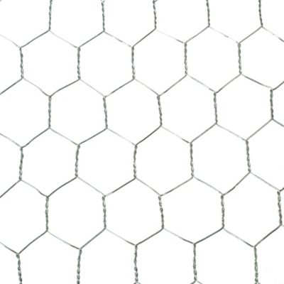 Image showing  1 in. Mesh 50 ft. x 1 ft. 20-Gauge Galvanized Poultry Netting