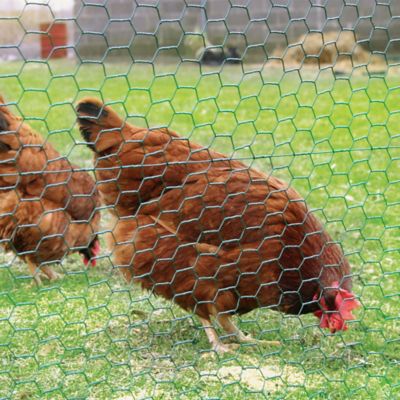 Image showing 5 th YARDGARD 2 in. Mesh 25 ft. x 2 ft. 20-Gauge Poultry Netting