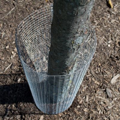 Image showing  1/4 in. Mesh 23-Gauge Galvanized Hardware Cloth, 3 ft. x 5 ft.