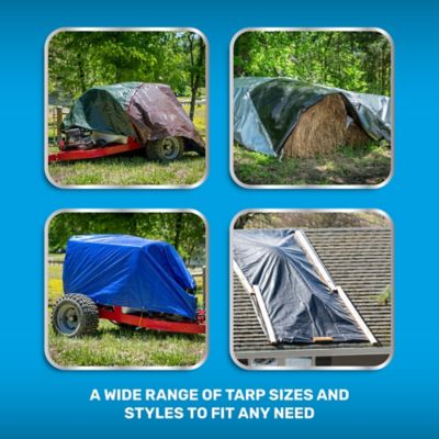 Image showing  12 ft. x 20 ft. Light-Duty Poly Tarp, Blue