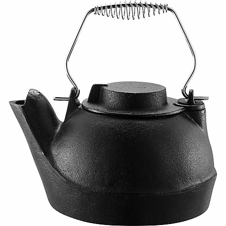 Small 2 1/2 qt cast iron tea kettle humidifier, steamer