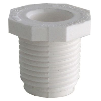 LDR Industries 1/2 in. PVC Thread Plug