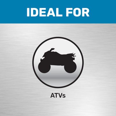 Image showing  20x8/21x7-10 ATV Inner Tube with TR-13 Valve Stem