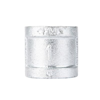 LDR Industries 1 in. x 1 in. FIP STZ Galvanized Coupling