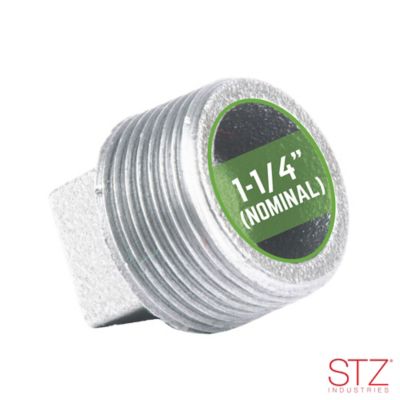 Image showing  1-1/4 Galvanized Plug