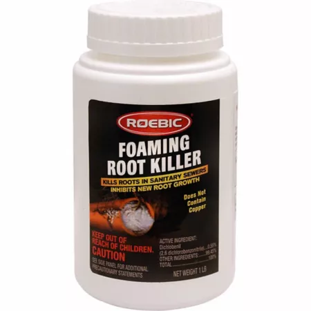 Roebic 1 lb Foaming Root Killer Brush & Root Removal