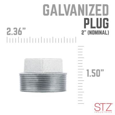 Image showing  2 in. Galvanized Plug