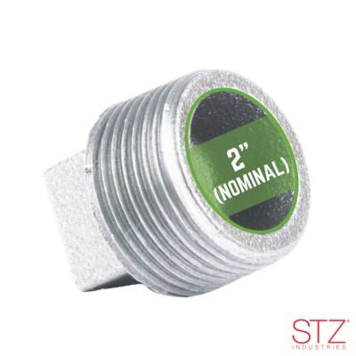Image showing  2 in. Galvanized Plug