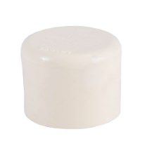 Image showing  1/2 in. CPVC Cap