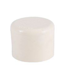 Image showing  3/4 in. CPVC Cap