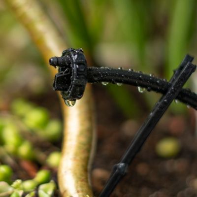 Image showing  Button Drip Emitters, 1 GPH, Black, 25 pc.