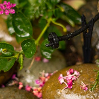 Image showing  Button Drip Emitters, 1 GPH, Black, 25 pc.