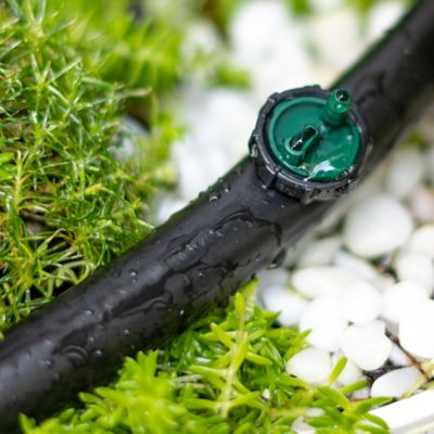 Image showing  Button Drip Emitters, 2 GPH, Green, 5 pc.