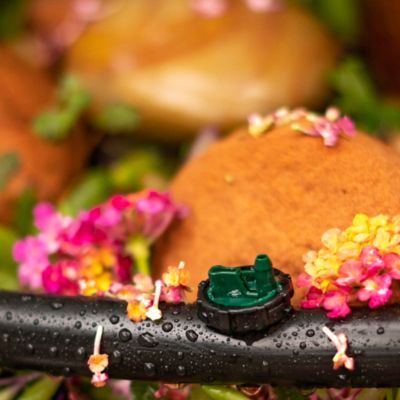 Image showing  Button Drip Emitters, 2 GPH, Green, 25 pc.