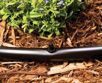 Image showing  1/4 in. Goof Plugs, 20 pc.