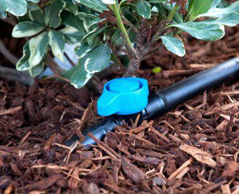 Image showing  1/2 in. Drip Irrigation Barbed Shutoff Valve for 0.700 OD Tubing