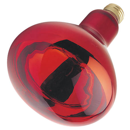 Westinghouse 250W R40 Heat Lamp Incandescent Light Bulb, Red