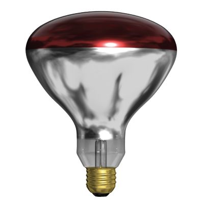 Image showing  250W R40 Heat Lamp Incandescent Light Bulb, Red