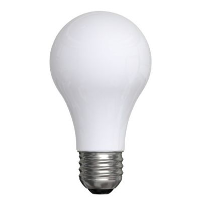 Bulb Soft White 25 W, 2 pk.