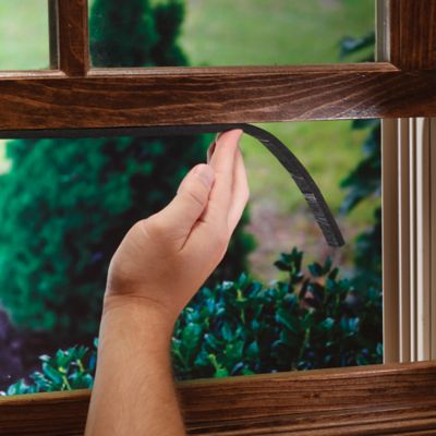 Image showing 1/4 in. x 1/2 in. x 10 ft. PVC Sponge Tape Window Seal