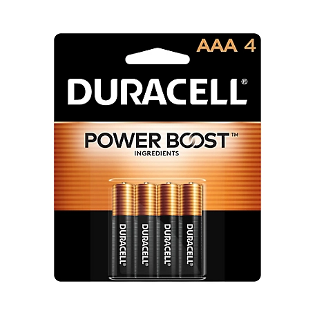 Duracell AAA Coppertop Alkaline Batteries, 4-Pack