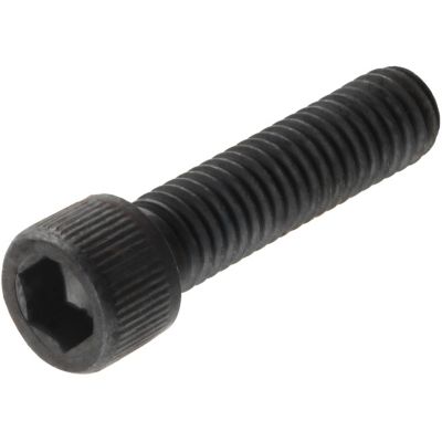 Hillman 1/4 in.-20 x 1-1/2 in. Socket-Head Cap Screws, 2-Pack