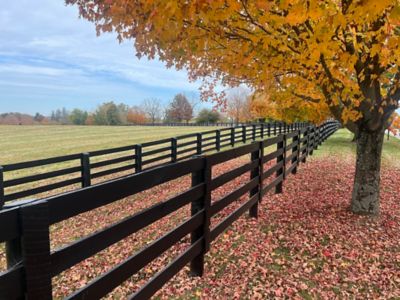 Image showing  5 gal. Black Pro Latex Fence Paint