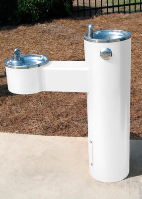 Image showing  15 oz. Professional High-Performance Enamel Spray Paint, Gloss