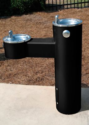 Image showing  15 oz. Professional High-Performance Enamel Spray Paint, Gloss