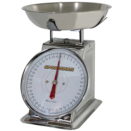 Timer Food Scale - GSG