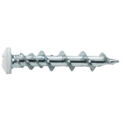Walldog 3/16 in. x 1-1/4 in. Pan Head Phillips Anchor, White