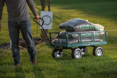 Groundwork 800 Lb Capacity Steel Garden Cart Gw800 At Tractor Supply Co