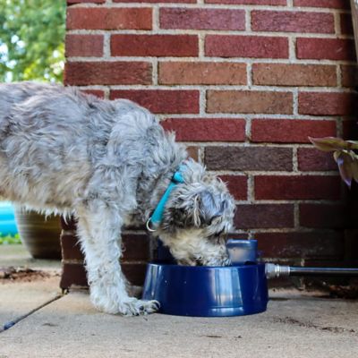 Image showing  6-Cup Auto-Wata Automatic Plastic Pet Waterer