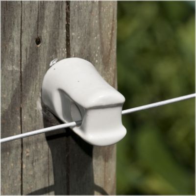 Image showing  Small Ceramic Lag Screw Insulator