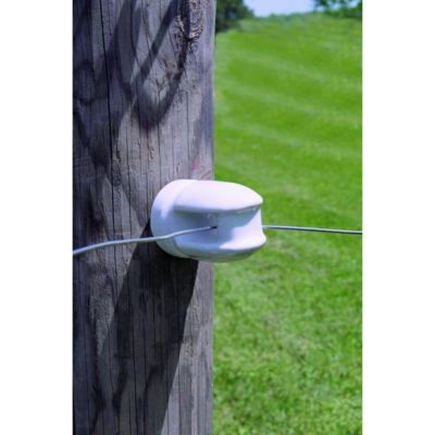 Image showing  Large Ceramic Lag Screw Insulator