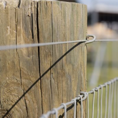 Image showing  2,640 ft. x 170 lb. Galvanized Electric Fence Wire, 17 ga.
