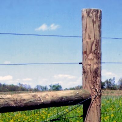 Image showing  2,640 ft. x 375 lb. Galvanized Electric Fence Wire, 14 ga.