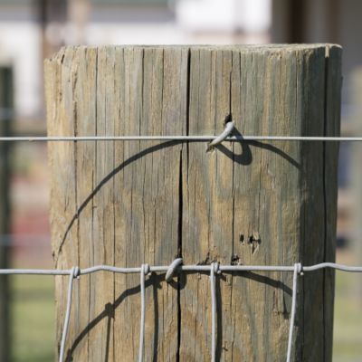 Image showing  2,640 ft. x 375 lb. Galvanized Electric Fence Wire, 14 ga.