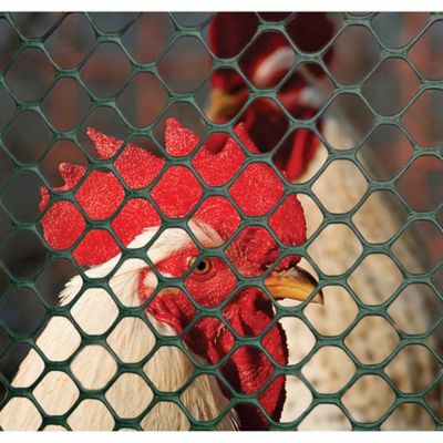 Image showing  3/4 in. x 3/4 in. Mesh 25 ft. x 3 ft. Poultry Fence, Green
