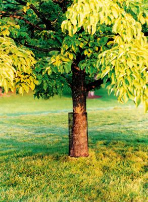 Image showing  Hardware Net Mesh Garden Fence Plastic,3 ft. x 15 ft.